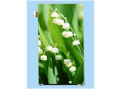 4.63 inch -IPS screen