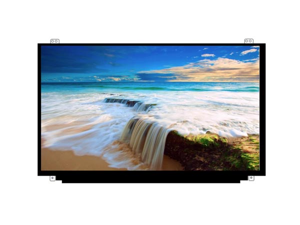 15.6 inches. Screen -30PIN