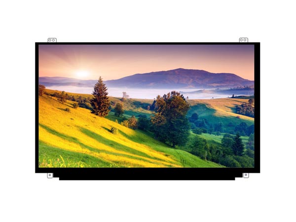 15.6 inch screen -30PIN